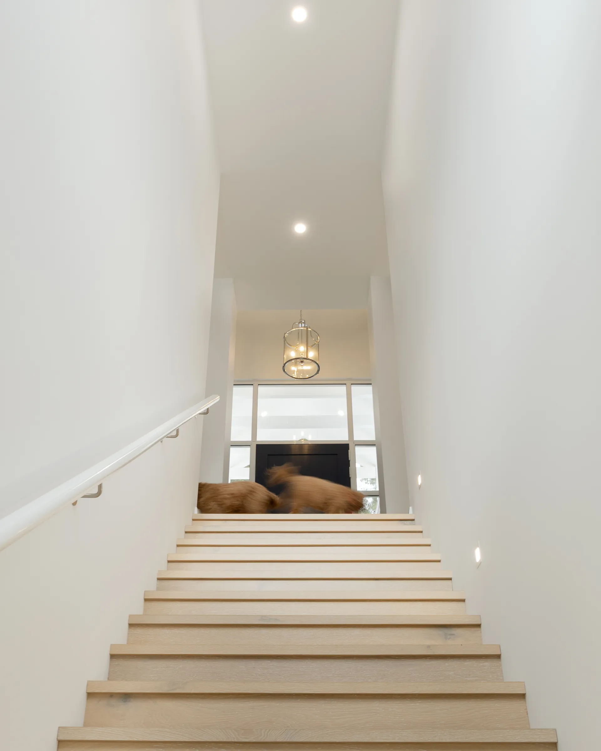 Jn — Private Residential architecture by Clements Architecture (view 10)